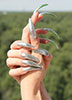 Photo Long sharp nails claws