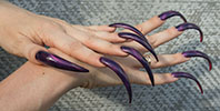 Photo Long sharp nails claws